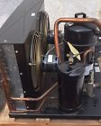 Sfa2516zxgxc 2a-4069-8 Tecumseh 4 Hp