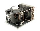 Ae4430y-aa1ass Tecumseh New Refrigeration Condensing Unit