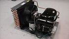 Aea2411zxasb Tecumseh 1-4 Hp Condensing