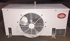 Tle35 Trenton New Single Fan