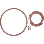Lochinvar 100289497 Gasket Set 1/2" Ss Compatible FBL2001 FBN2001 OFN2001. Fixed Price $743.36.