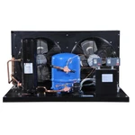 Danfoss LGZC0401UWF300N Condensing Unit Copper Coil Aluminum Fins 4HP Lbp 230V/1. Fixed Price $4062.60.