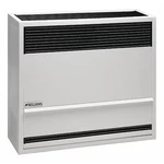 Williams Comfort Products 2203822 Surface-mount Wall Heater, Natural Gas,. Fixed Price $1726.99.