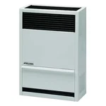 Williams Comfort Products 1403822 Surface-mount Wall Heater, Natural Gas,. Fixed Price $1058.99.